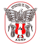 Asociación de Guías de Montaña del Perú
Guía oficial de Alta Montaña certificado por: AGMP / IVBV - UIAGM - IFMGA